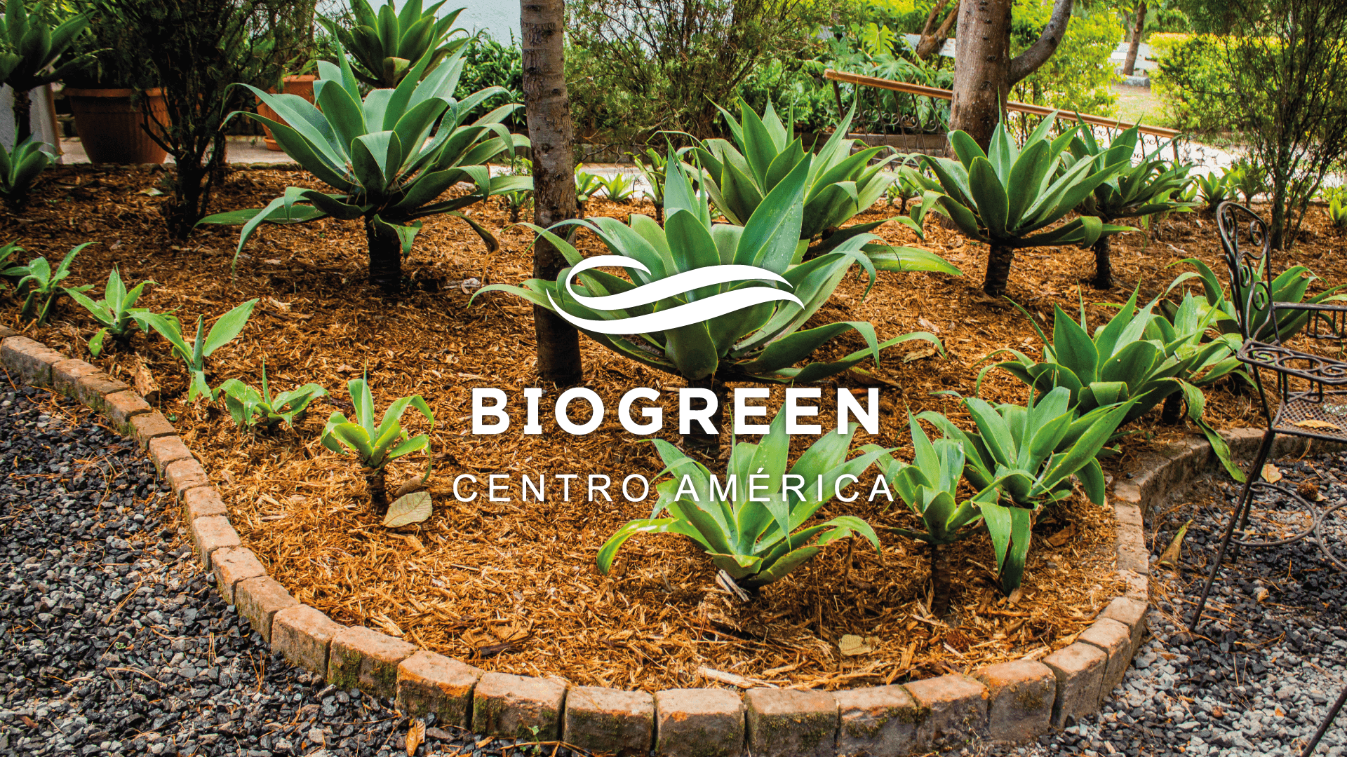 biogreen-toco-madera